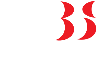 WBS Logo